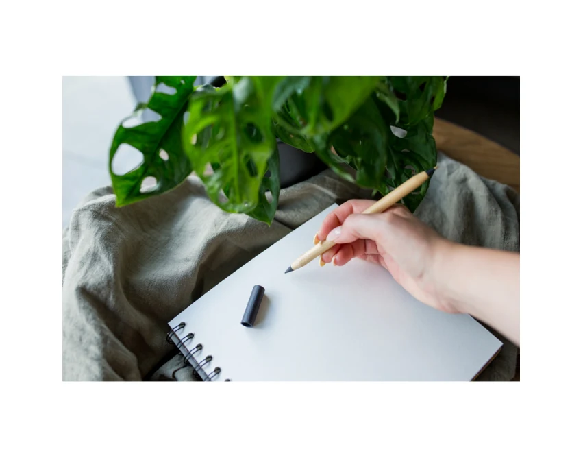 Czarny bambusowy długopis 2w1 Mikayla z logo firmy