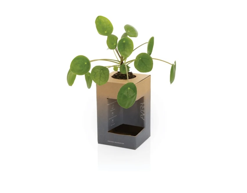 Biały kubek termiczny 300 ml Avira Alya z grawerem logo