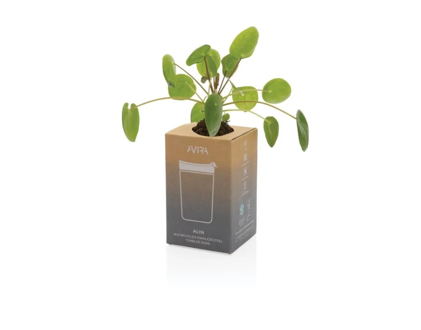 Czarny kubek termiczny Avira Alya 300 ml z grawerem logo