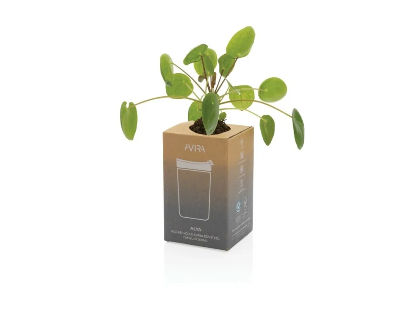 Granatowy kubek termiczny Avira Alya 300ml z grawerem logo