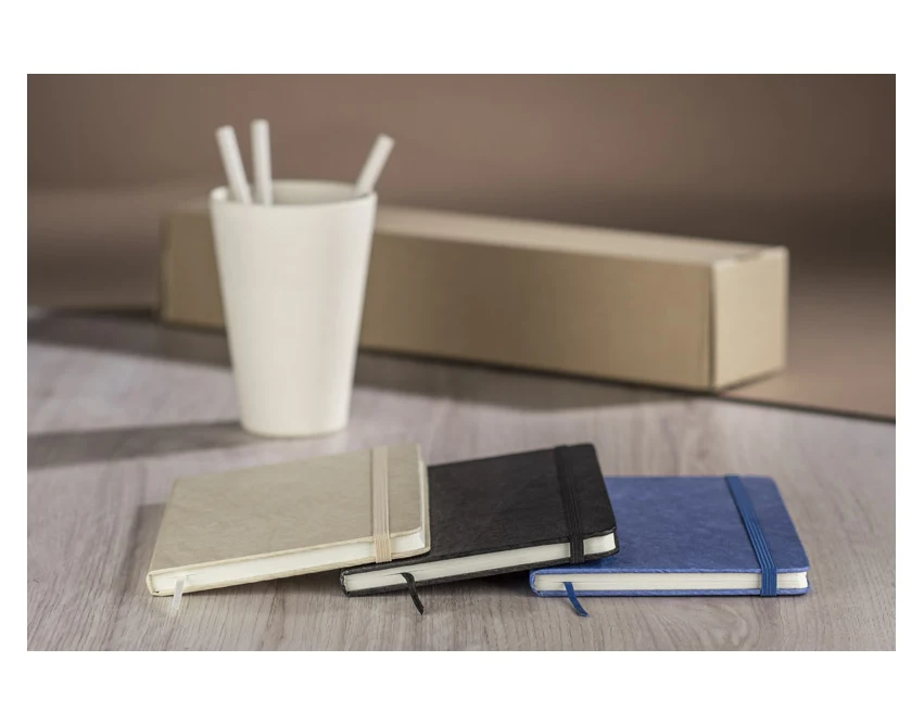 Notes TERE B6 naturalny z gumką Tyvek i zakładką