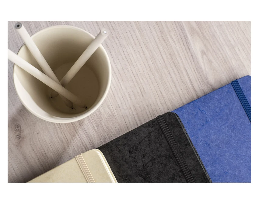 Notes TERE B6 naturalny z gumką Tyvek i zakładką