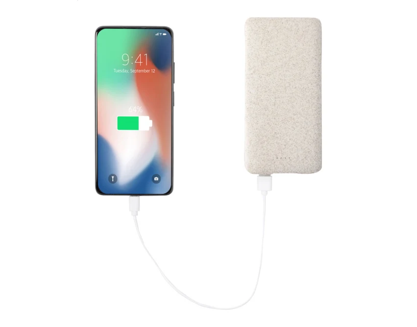 Powerbank ekologiczny 20 000 mAh ze słomy pszenicznej