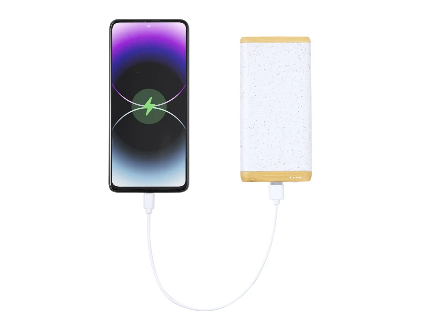 Powerbank ekologiczny 5000 mAh bambusowy USB-C