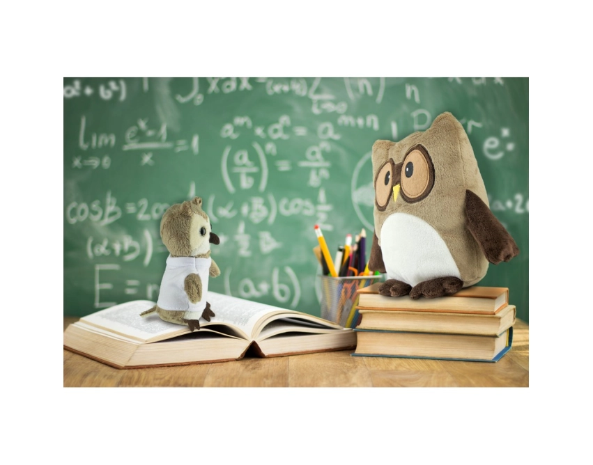 Professowl maskotka reklamowa 20 cm jasnobrązowa