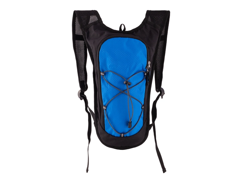 Plecak sportowy Palmer, niebieski