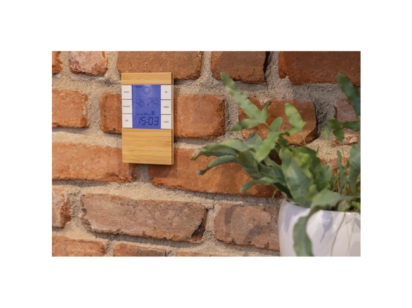 Bambusowa stacja pogodowa Utah, RABS